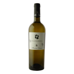 Bottle of Falanghina "Orme" by Massimo Leone – elegant white wine from Southern Italy