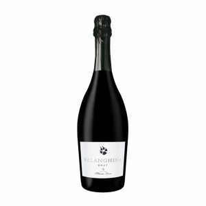 Bottle of Falanghina Sparkling Brut NV – Massimo Leone