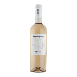 Bottle of Pinot Grigio Ramato “Sotto le Stelle” IGT 2024 by Savini