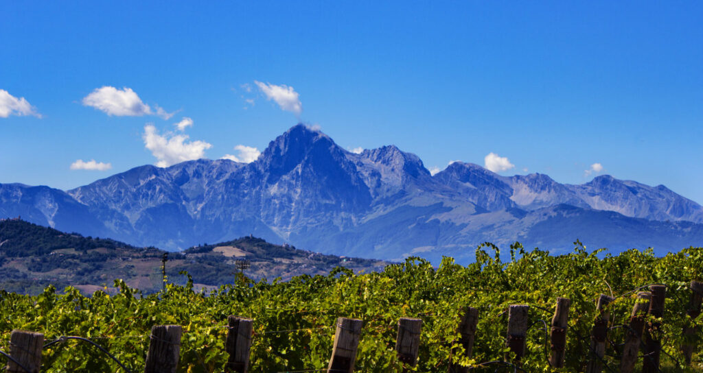 Panoramic view from Savini vineyards in Abruzzo.