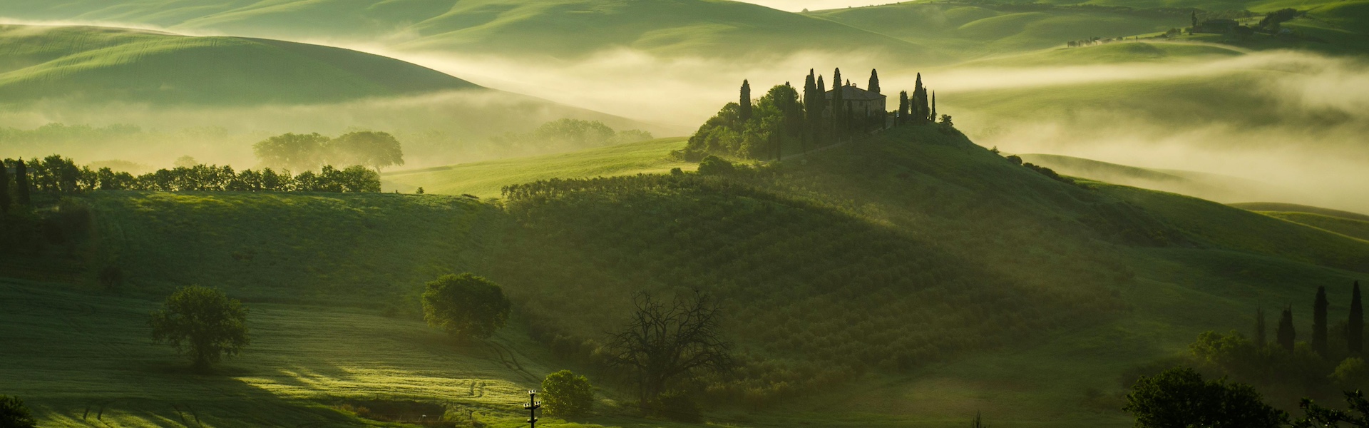 Tuscan countryside vineyards at sunrise, rolling hills and cypress trees representing Italian wine heritage