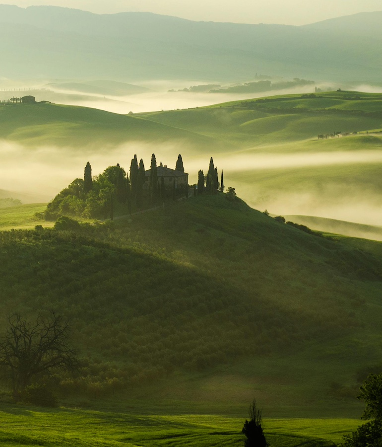 Tuscan countryside vineyards at sunrise, rolling hills and cypress trees representing Italian wine heritage