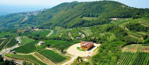 Aerial view of Stefano Accordini winery and vineyards in Valpolicella Classica, Verona.