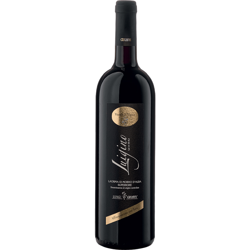 Bottle of Lacrima Superiore "Luigino" DOC 2018 - Luigi Giusti.