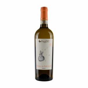 Bottle of Fiano di Avellino DOCG 2021 by Fattoria Pagano