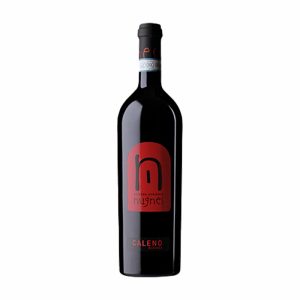 Bottle of Falerno del Massico Caleno Riserva DOC 2015 by Nugnes.