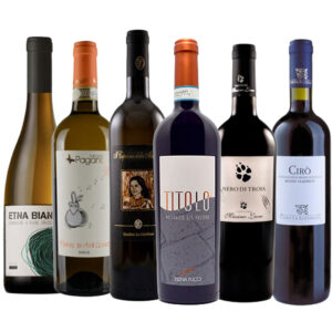 The Italian Wine Grand Tour