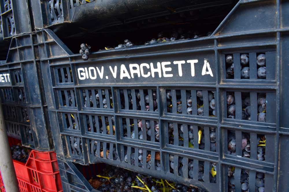 The Varchetta family name engraved on a traditional wooden grape crate, symbolising four generations of winemaking.